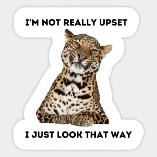 Angry Leopard in Denial Sticker